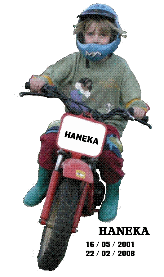 ons muizeken